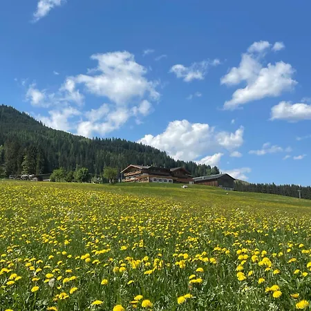 Mini-hôtel Berggasthof Hinterreit Maria Alm