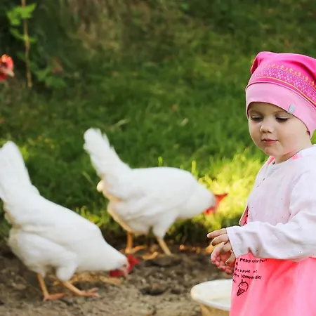 Berggasthof Hinterreit マリア・アルム・アム・シュタイナーネン・メアー